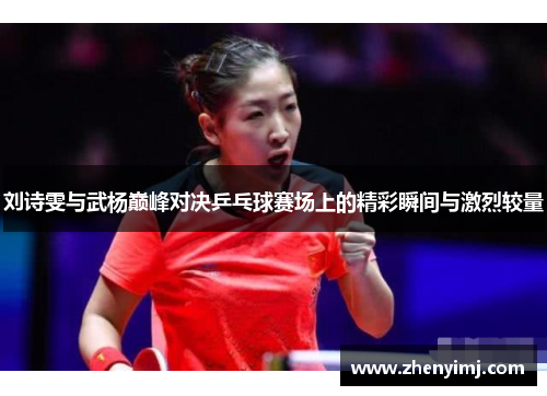 刘诗雯与武杨巅峰对决乒乓球赛场上的精彩瞬间与激烈较量